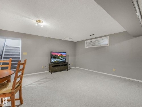 9528 54 Street Nw, Edmonton, AB - Indoor Photo Showing Basement