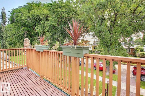 The property features an outdoor deck with wood flooring and a wooden railing, offering views of mature trees and landscaping - 11126 52 Street Nw, Edmonton, AB - Outdoor With Deck Patio Veranda