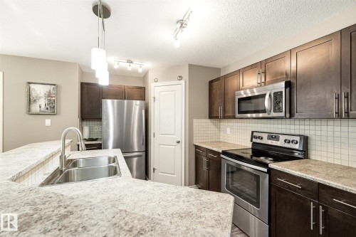 18080 89 Street Nw, Edmonton, AB - Indoor Photo Showing Kitchen With Double Sink With Upgraded Kitchen