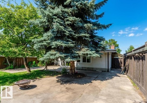 Expansive backyard featuring a large evergreen tree, a concrete patio, and a grassed area - 11115 39A Avenue Nw, Edmonton, AB - Outdoor