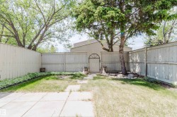 Fully fenced backyard featuring a mature tree, an arched garden gate, a concrete patio, and garden beds with established groundcover - 