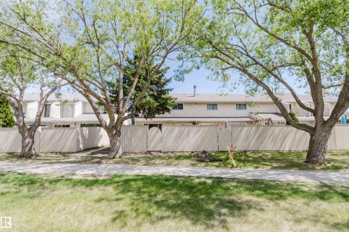 Wood fence defining the property perimeter with established trees providing natural shade - 134 Callingwood Place Nw, Edmonton, AB - Outdoor