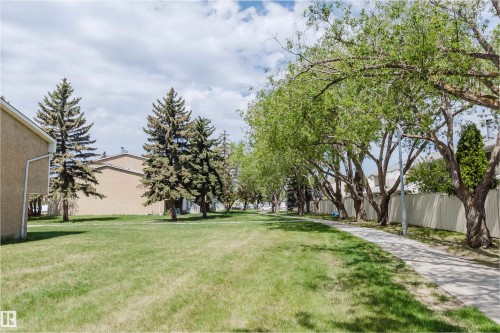 Expansive green space featuring a paved walkway, mature deciduous trees, and evergreen trees - 134 Callingwood Place Nw, Edmonton, AB - Outdoor With View
