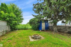 Expansive backyard featuring a mature evergreen tree, green lawn, and a stone fire pit - 