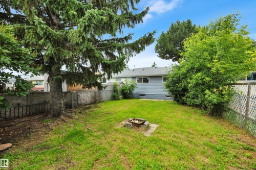 Spacious backyard featuring a substantial evergreen tree, mature green foliage, a chain-link fence, and a built-in fire pit - 3607 53 Street, Wetaskiwin, AB - Outdoor