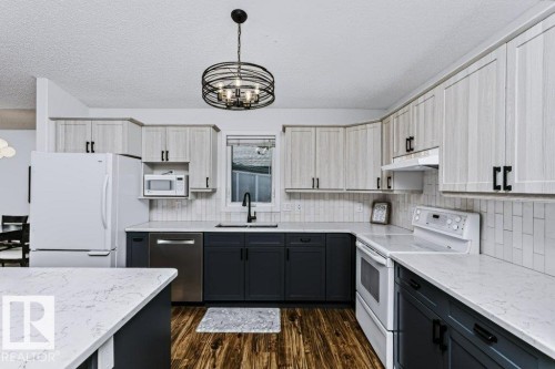 #18 9420 172 St Nw, Edmonton, AB - Indoor Photo Showing Kitchen With Double Sink