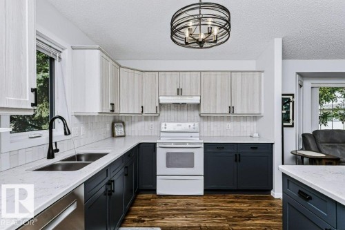 #18 9420 172 St Nw, Edmonton, AB - Indoor Photo Showing Kitchen With Double Sink
