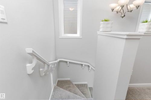 Carpeted staircase featuring a light gray palette, white wall-mounted handrail, and a contemporary chandelier - 3456 Cutler Crescent Sw, Edmonton, AB - Indoor