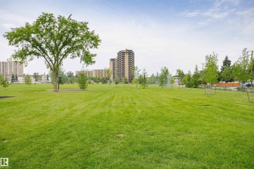 Expansive green space featuring a large mature tree, numerous young trees, and distant high-rise buildings - 4812 105B Street Nw, Edmonton, AB - Outdoor