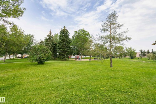 Expansive green space featuring mature trees, a paved walking path, and a distant recreational area - 4812 105B Street Nw, Edmonton, AB - Outdoor