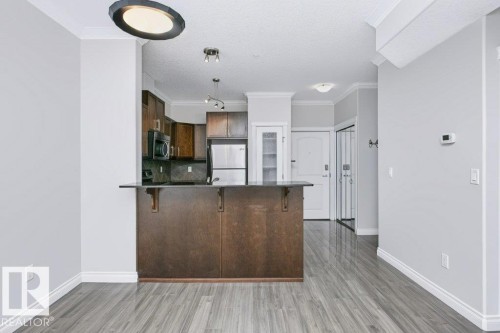 Open-concept living area featuring wood-finish flooring and a kitchen with dark cabinetry, stainless steel appliances, and a breakfast bar - #137 10121 80 Av Nw, Edmonton, AB - Indoor Photo Showing Kitchen