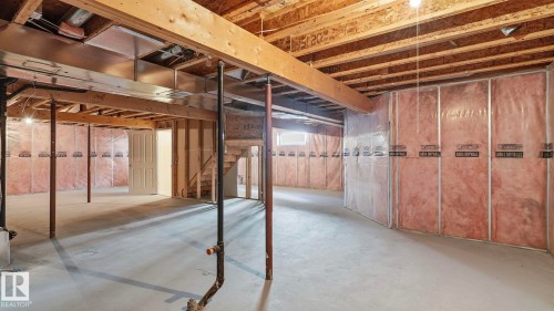 #31 8 Dechene Rd Nw, Edmonton, AB - Indoor Photo Showing Basement