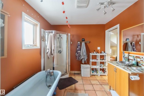 10207 88 Street Nw, Edmonton, AB - Indoor Photo Showing Bathroom