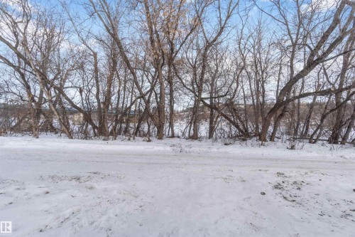 10207 88 Street Nw, Edmonton, AB - Outdoor With View