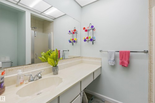 318 Grand Meadow Crescent Nw, Edmonton, AB - Indoor Photo Showing Bathroom