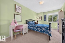 Carpeted room with a double-pane window, flush-mount ceiling light, and light green walls - 