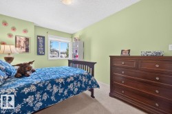 Bright room featuring a large window, light green wall finishes, and a textured ceiling - 