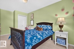 Bedroom featuring carpet flooring, painted walls, and a built-in closet with bi-fold doors - 