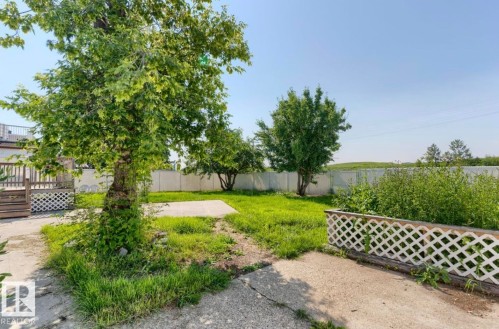 Rear yard featuring mature trees, a concrete patio area, and a white lattice-style planter box - 10211 95 Ave, Morinville, AB - Outdoor