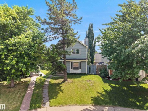 Light gray siding exterior with a prominent front-facing window, featuring a sloped front lawn, mature trees, and a concrete pathway - 3509 43A Avenue Nw, Edmonton, AB - Outdoor