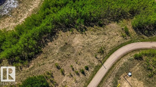 Curved unpaved road with surrounding dry grass and dense green foliage - 705 59128 Rng Rd 95, Rural St. Paul County, AB 