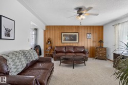 Living area featuring wood paneling, light-toned carpeting, a ceiling fan with integrated lighting, and a window with sheer curtains - 