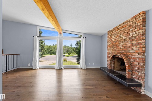 11427 35 Avenue Nw, Edmonton, AB - Indoor With Fireplace