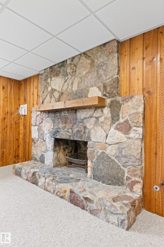 11427 35 Avenue Nw, Edmonton, AB - Indoor With Fireplace