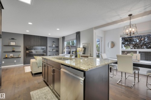 4029 Alexander Way Sw, Edmonton, AB - Indoor Photo Showing Kitchen With Double Sink With Upgraded Kitchen