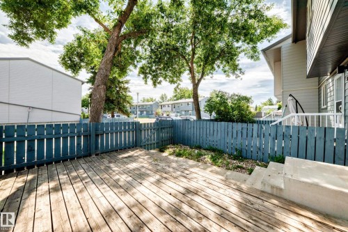 Spacious wood-finish deck with a painted wooden fence - 3119 144 Avenue Nw, Edmonton, AB - Outdoor With Deck Patio Veranda With Exterior