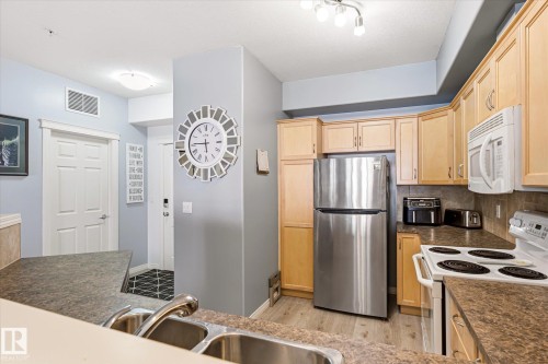 #103 45 Inglewood Dr, St. Albert, AB - Indoor Photo Showing Kitchen With Double Sink