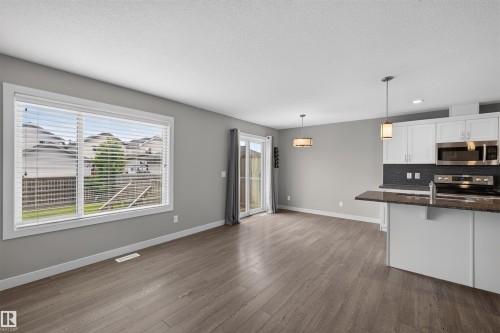1107 162 Street Sw, Edmonton, AB - Indoor Photo Showing Kitchen