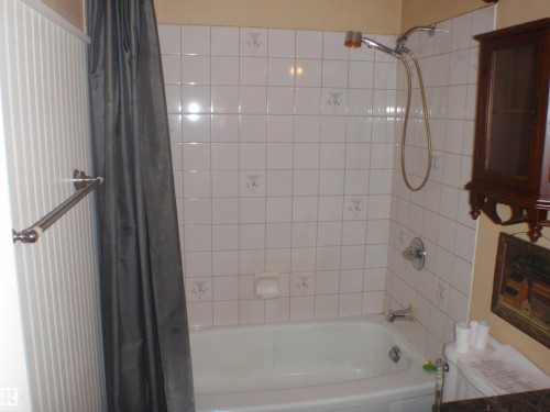 5424 Willock Crescent, Swan Hills, AB - Indoor Photo Showing Bathroom