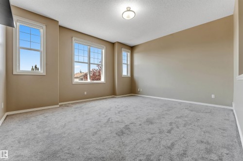 Spacious room featuring neutral carpeting, multiple windows with white trim, and a ceiling-mounted light fixture - 121 64 Street Sw, Edmonton, AB - Indoor Photo Showing Other Room