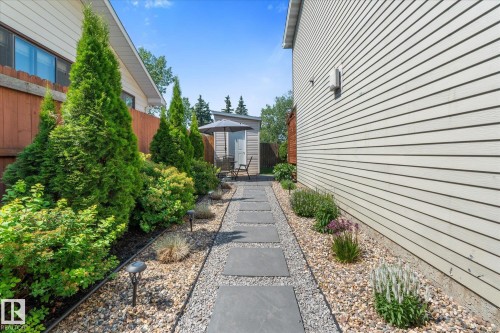 Manicured side yard featuring a stepping stone pathway set in gravel, bordered by diverse plantings - 4718 35 Avenue Nw, Edmonton, AB - Outdoor