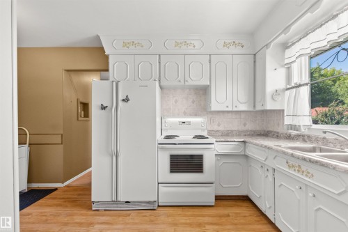 12316 135 Avenue Nw, Edmonton, AB - Indoor Photo Showing Kitchen With Double Sink