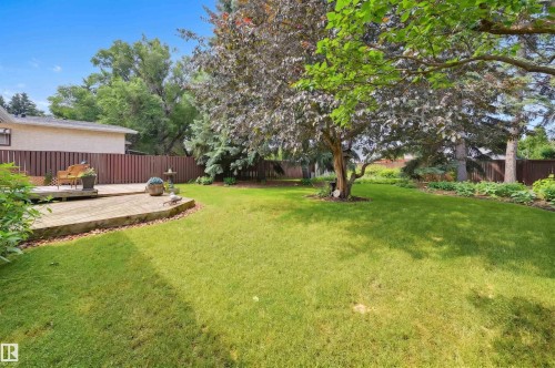 8724 187 Street Nw, Edmonton, AB - Outdoor With Deck Patio Veranda