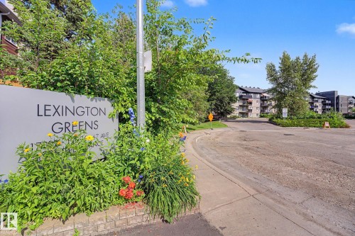 17084 67 Avenue Nw, Edmonton, AB - Outdoor