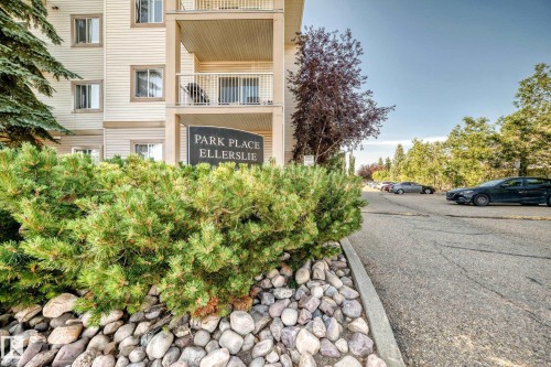 Exterior apartment building featuring horizontal siding, multiple windows, and private balconies with metal railings - #317 245 Edwards Dr Sw, Edmonton, AB - Outdoor With Balcony
