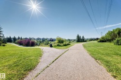 Paved pathways winding through green spaces with mature trees and landscaping - 