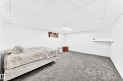 Spacious room featuring light gray carpeting, white walls, a white acoustic tile ceiling with track lighting, and a built-in white wall shelf - 