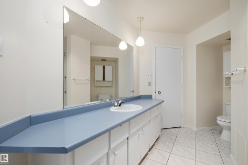 #315 5520 Riverbend Rd Nw, Edmonton, AB - Indoor Photo Showing Bathroom