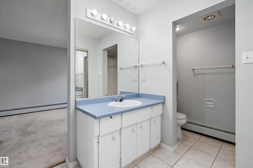 #315 5520 Riverbend Rd Nw, Edmonton, AB - Indoor Photo Showing Bathroom