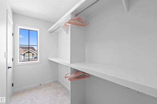 Walk-in closet featuring white built-in shelving, hanging rods, light-toned carpeting, a window with dark grilles, and a white door with dark hardware - 8047 227 Street Nw, Edmonton, AB - Indoor With Storage