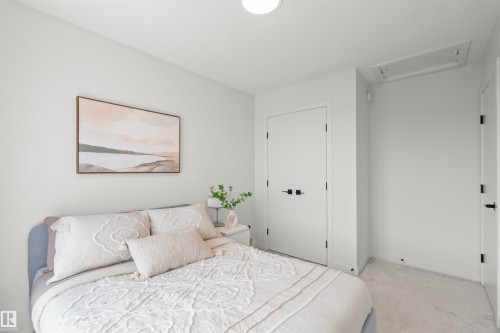 Plush carpeted flooring, white walls, and a ceiling-mounted light fixture - 8047 227 Street Nw, Edmonton, AB - Indoor Photo Showing Bedroom
