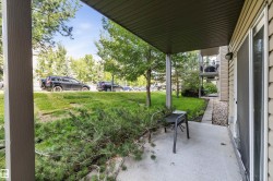 Covered patio with concrete flooring - 