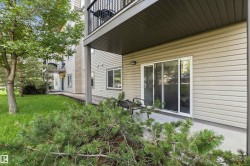 Ground-level patio with sliding glass doors, surrounded by green grass and mature trees - 