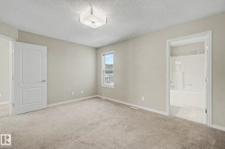 Carpeted room featuring a ceiling-mounted light fixture, a window with exterior views, and neutral wall tones - 