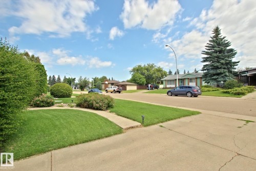 Residential street with mature landscaping, including large evergreen trees and manicured shrubs - 3536 104 Street Nw, Edmonton, AB - Outdoor