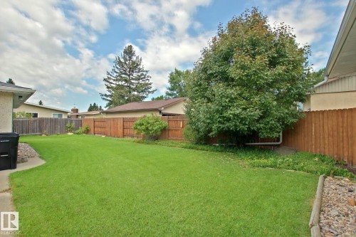 Expansive green lawn area featuring mature trees and wood fencing - 3536 104 Street Nw, Edmonton, AB - Outdoor With Backyard